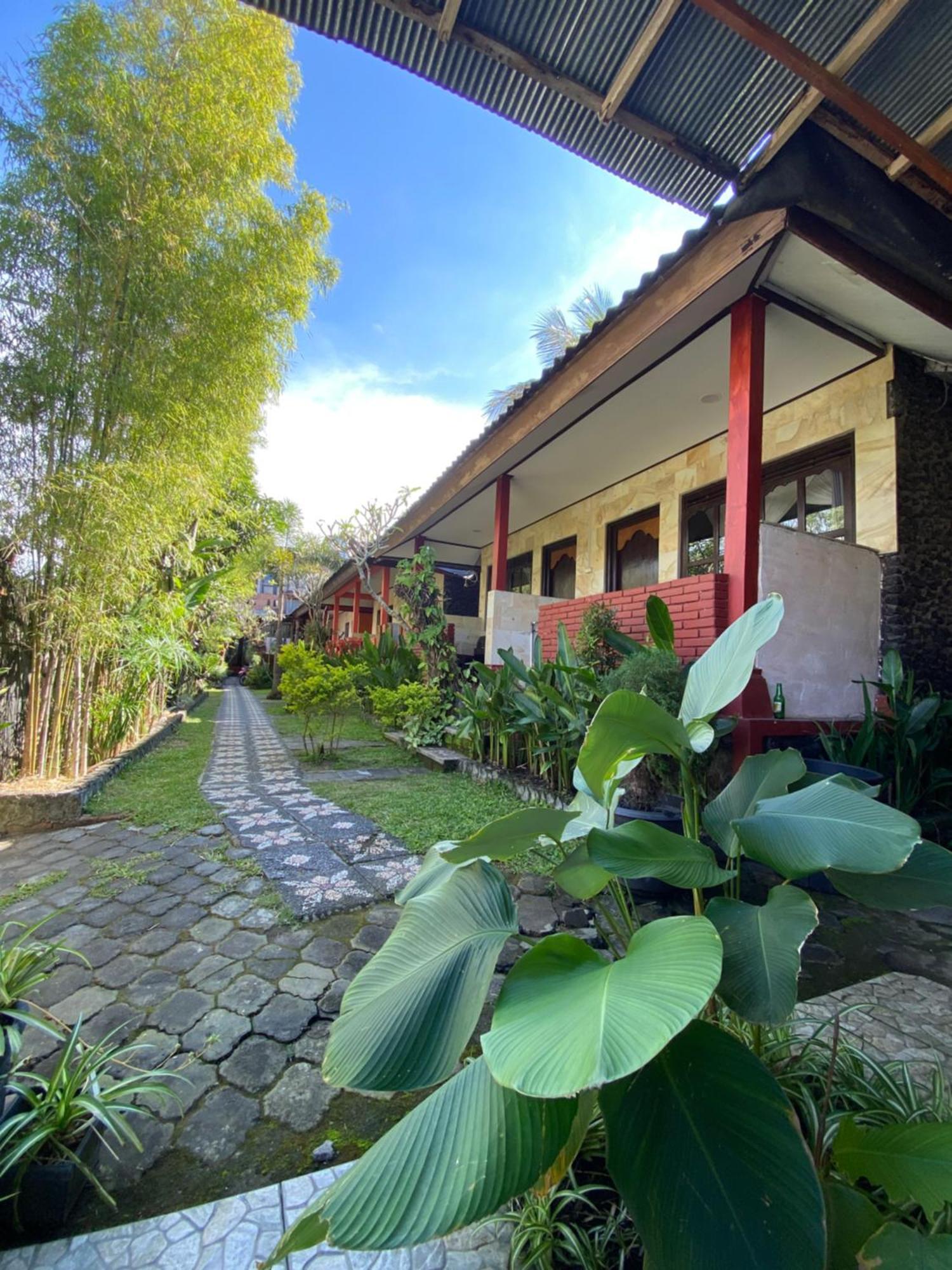 Volcano Living Maison d'hôtes