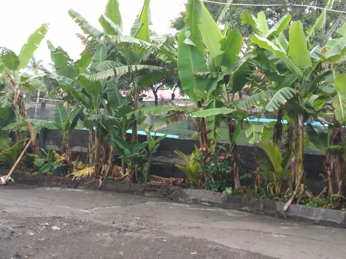 Volcano Guest House&warung 2*