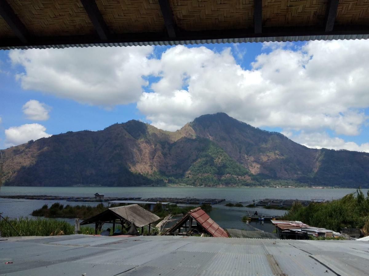 Volcano Living 2*