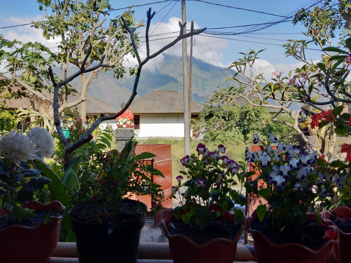 Volcano Living Kintamani (Bali)