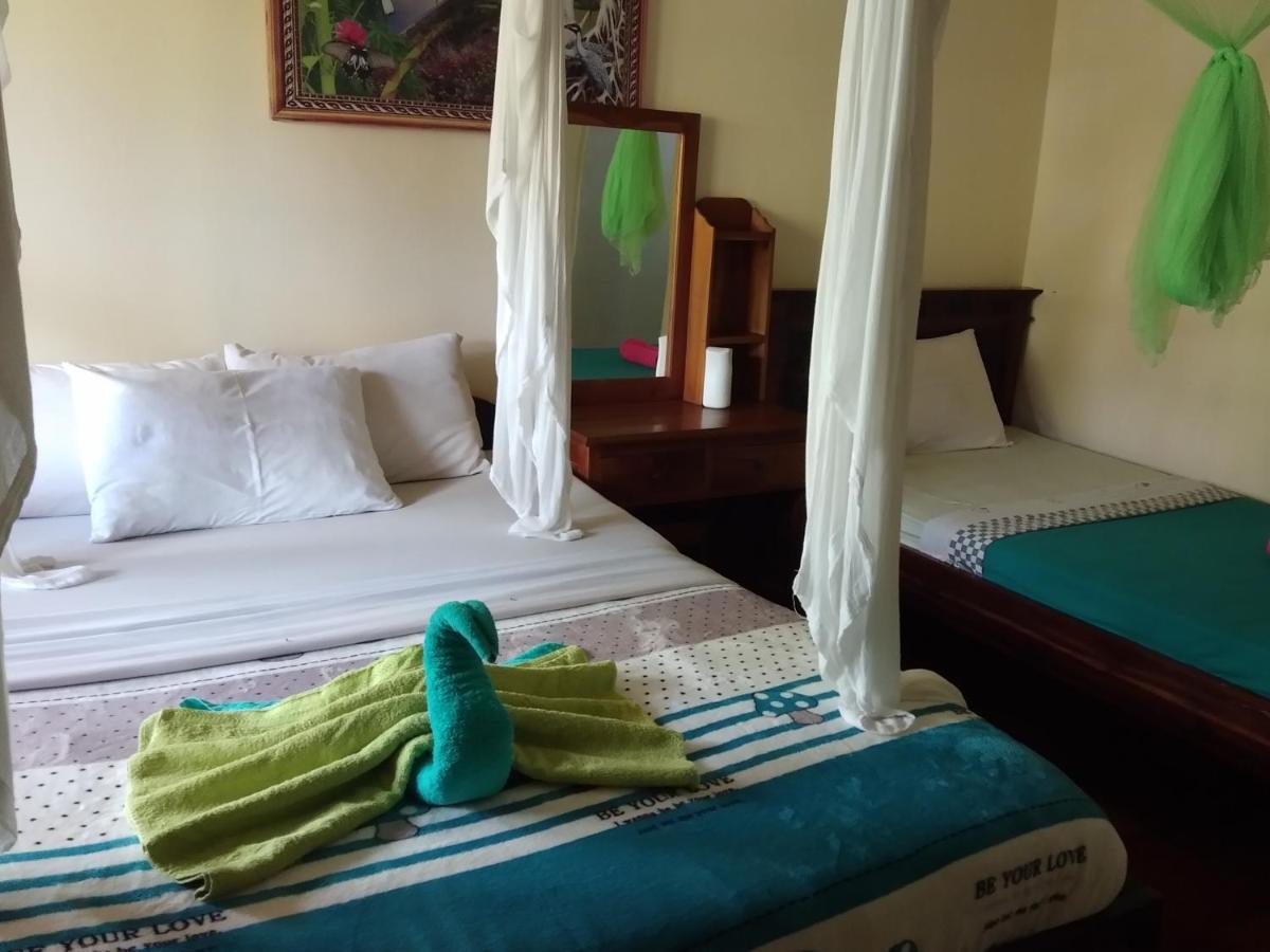 Volcano Living Guest house Kintamani (Bali)